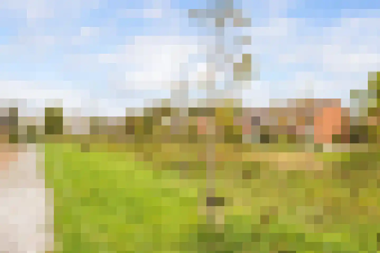 Cesar Franckstraat 8 Castricum thumbnail 52