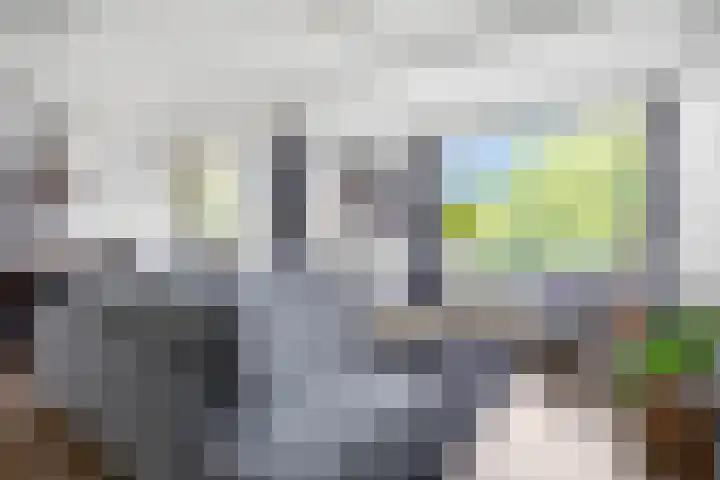 César Franckstraat 8 Leiden thumbnail 4