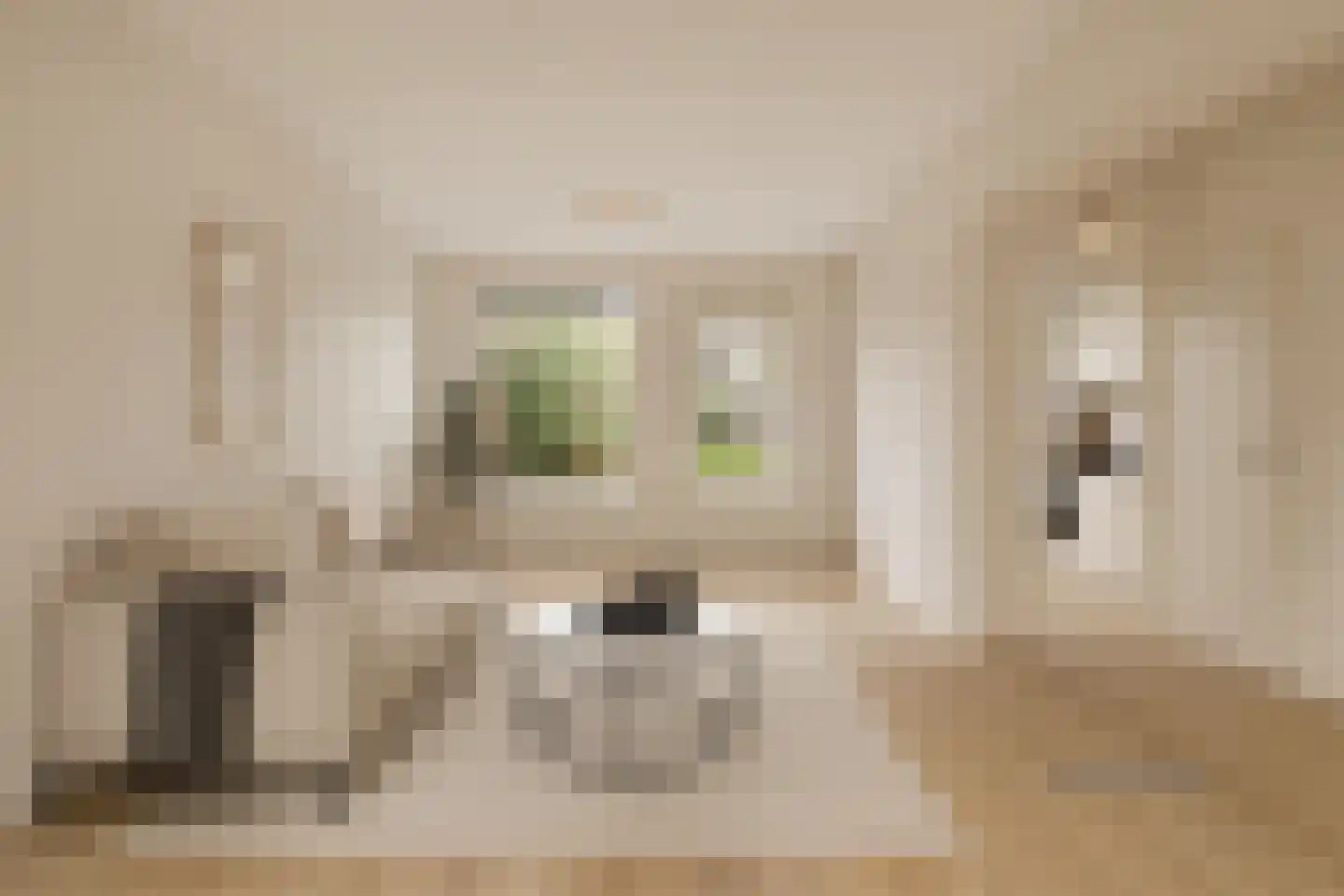 Cevenneshof 7 Eindhoven thumbnail 11