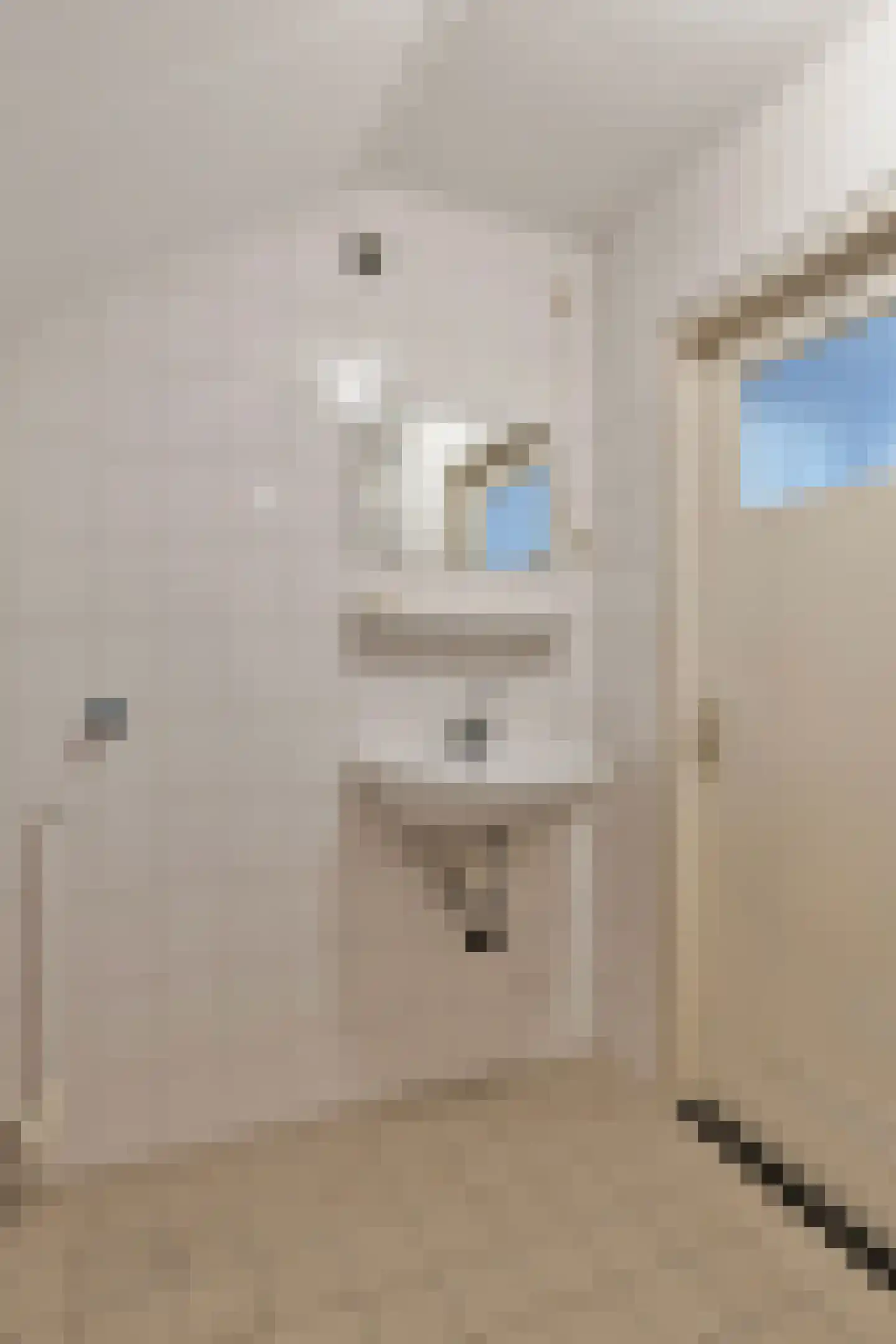 Cevenneshof 7 Eindhoven thumbnail 22
