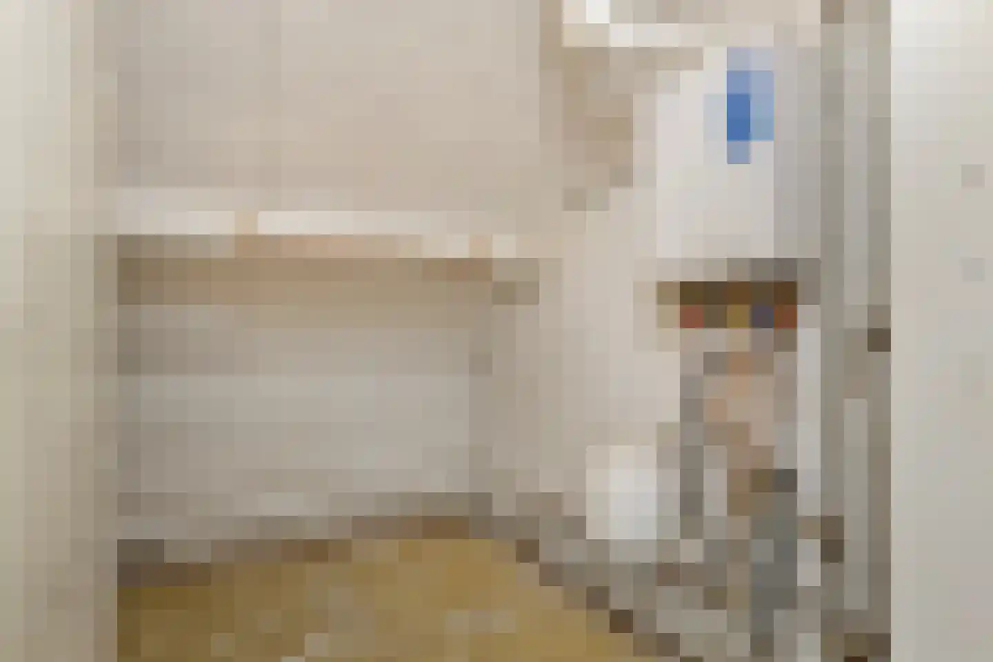 Cevenneshof 7 Eindhoven thumbnail 25