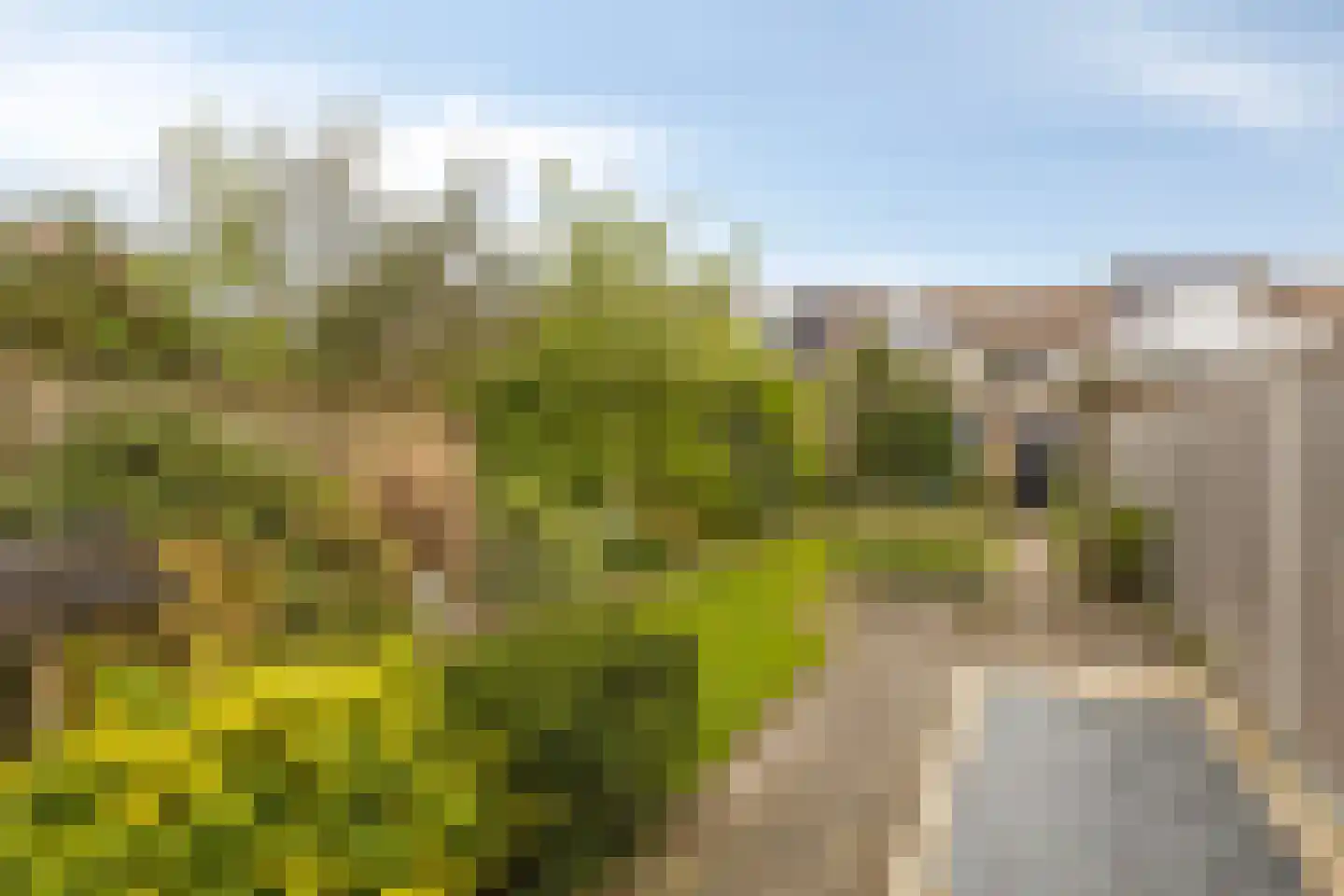 Cevenneshof 7 Eindhoven thumbnail 26