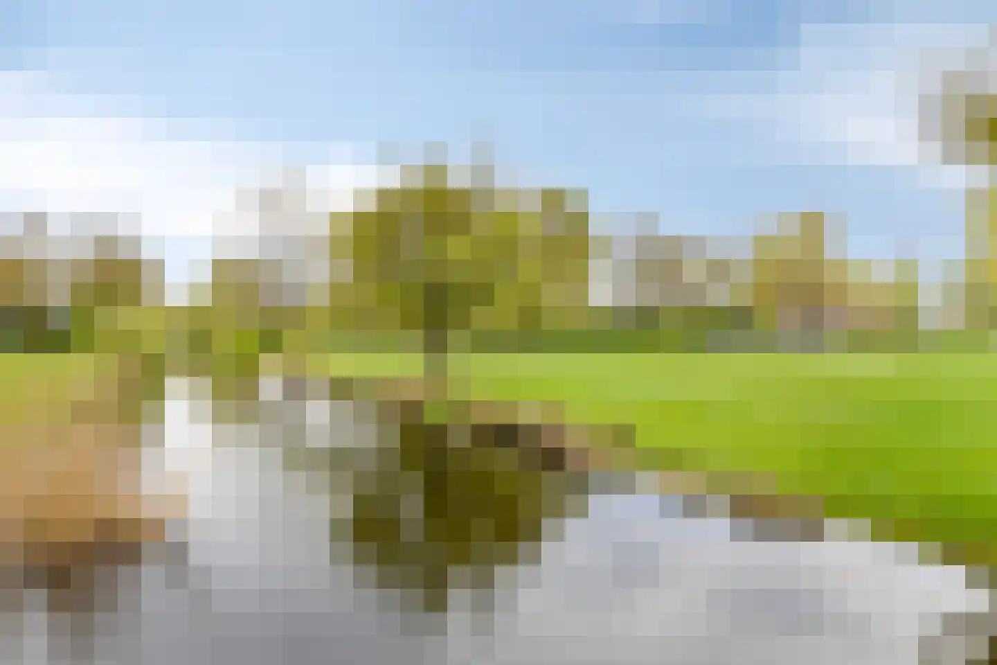 Cevenneshof 7 Eindhoven thumbnail 32