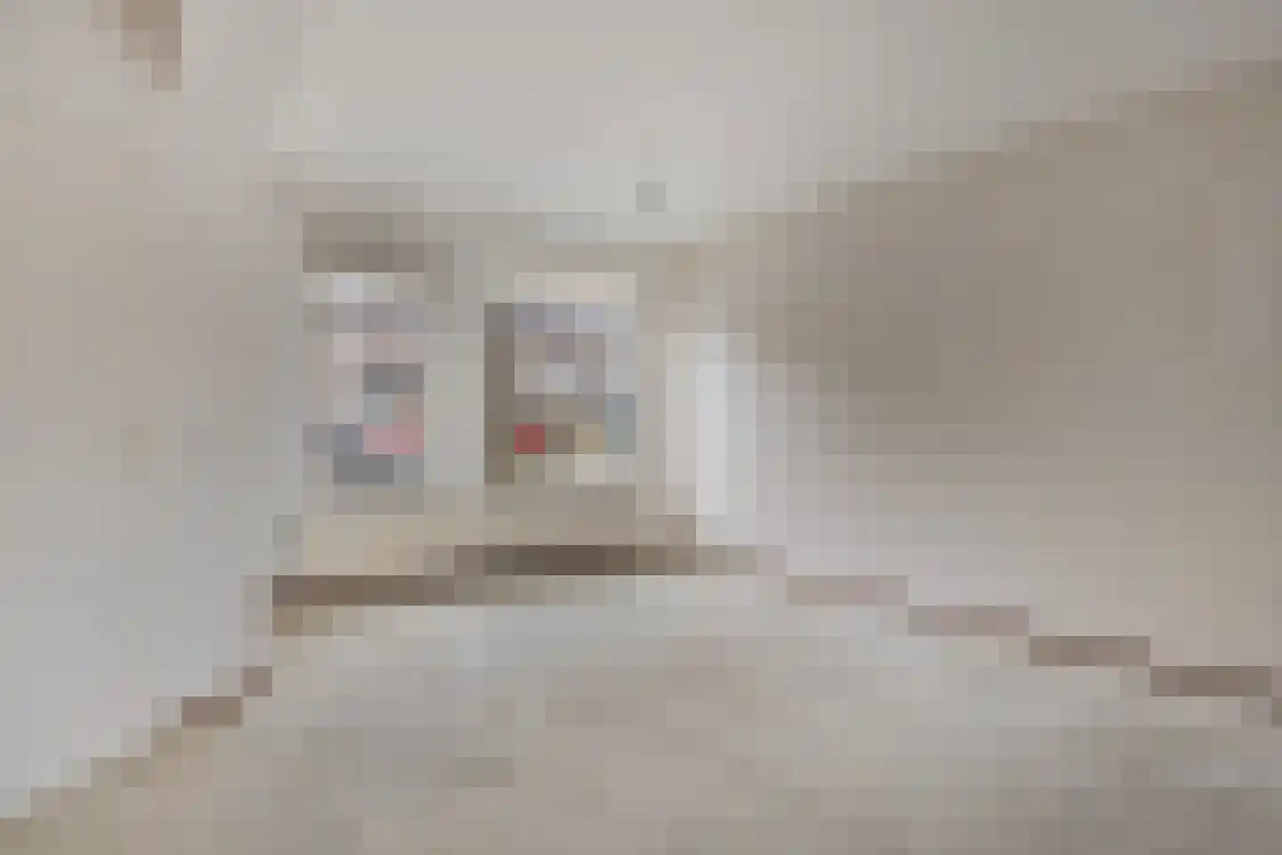 Cevenneshof 7 Eindhoven thumbnail 9