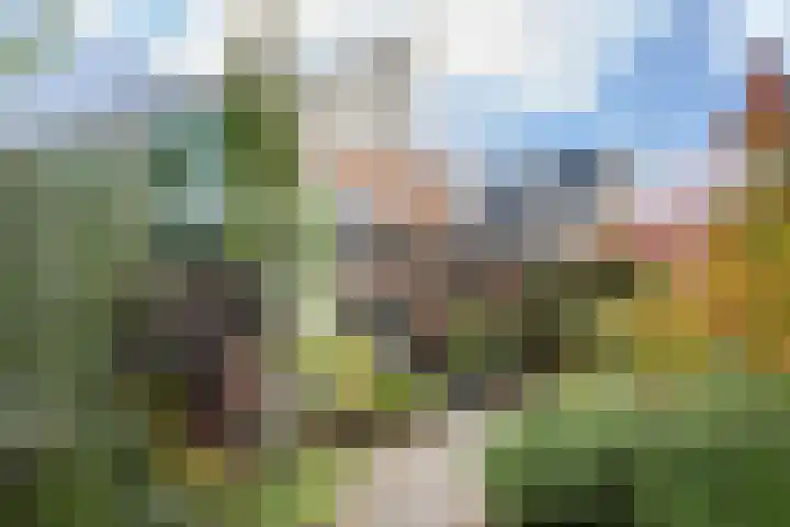 Cézannehof 62 Hoorn thumbnail 35