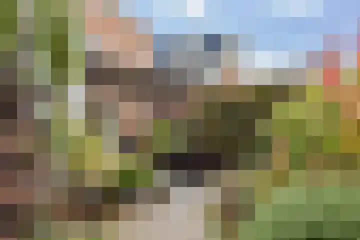 Cézannehof 62 Hoorn thumbnail 36