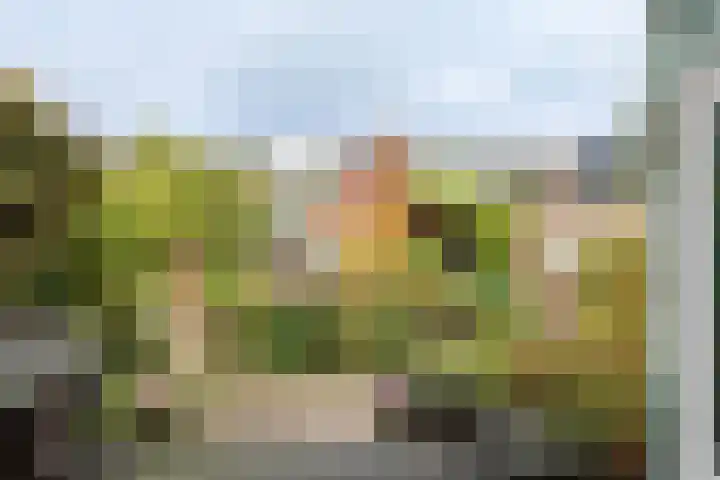 Cézannehof 62 Hoorn thumbnail 38