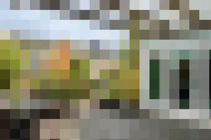 Cézannehof 62 Hoorn thumbnail 39