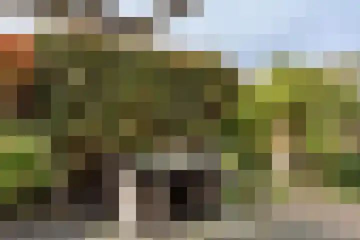 Cézannehof 62 Hoorn thumbnail 40