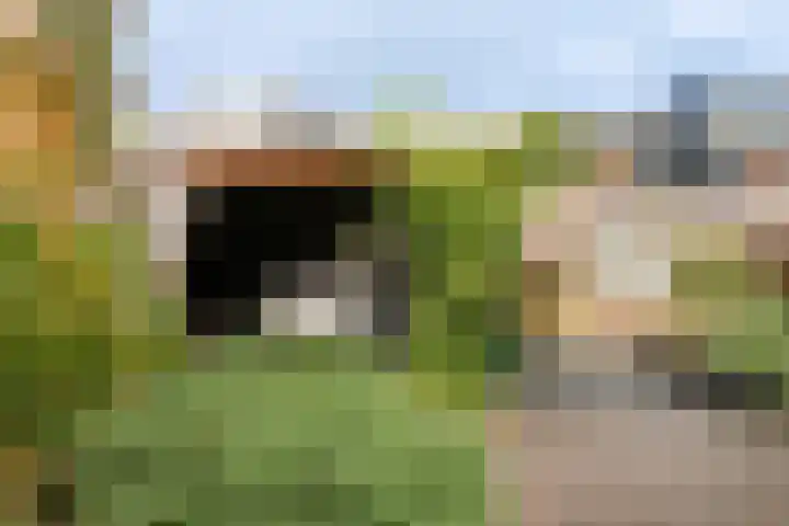 Cézannehof 62 Hoorn thumbnail 41