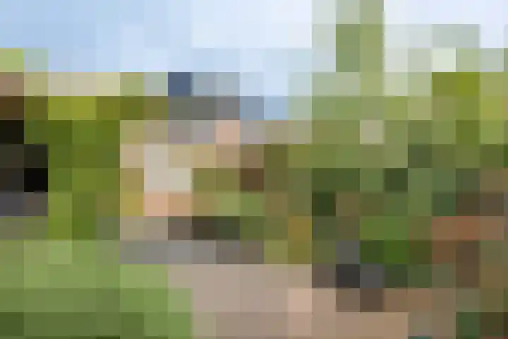 Cézannehof 62 Hoorn thumbnail 42