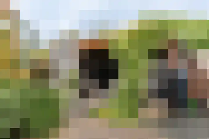 Cézannehof 62 Hoorn thumbnail 43