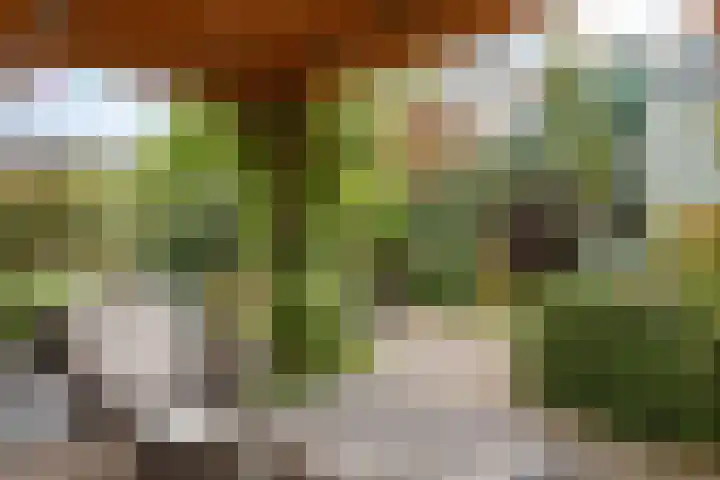 Cézannehof 62 Hoorn thumbnail 44