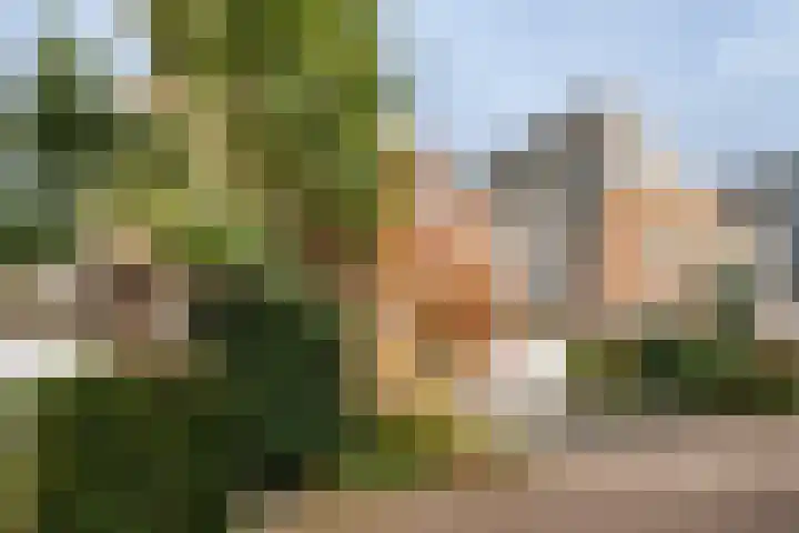 Cézannehof 62 Hoorn thumbnail 45