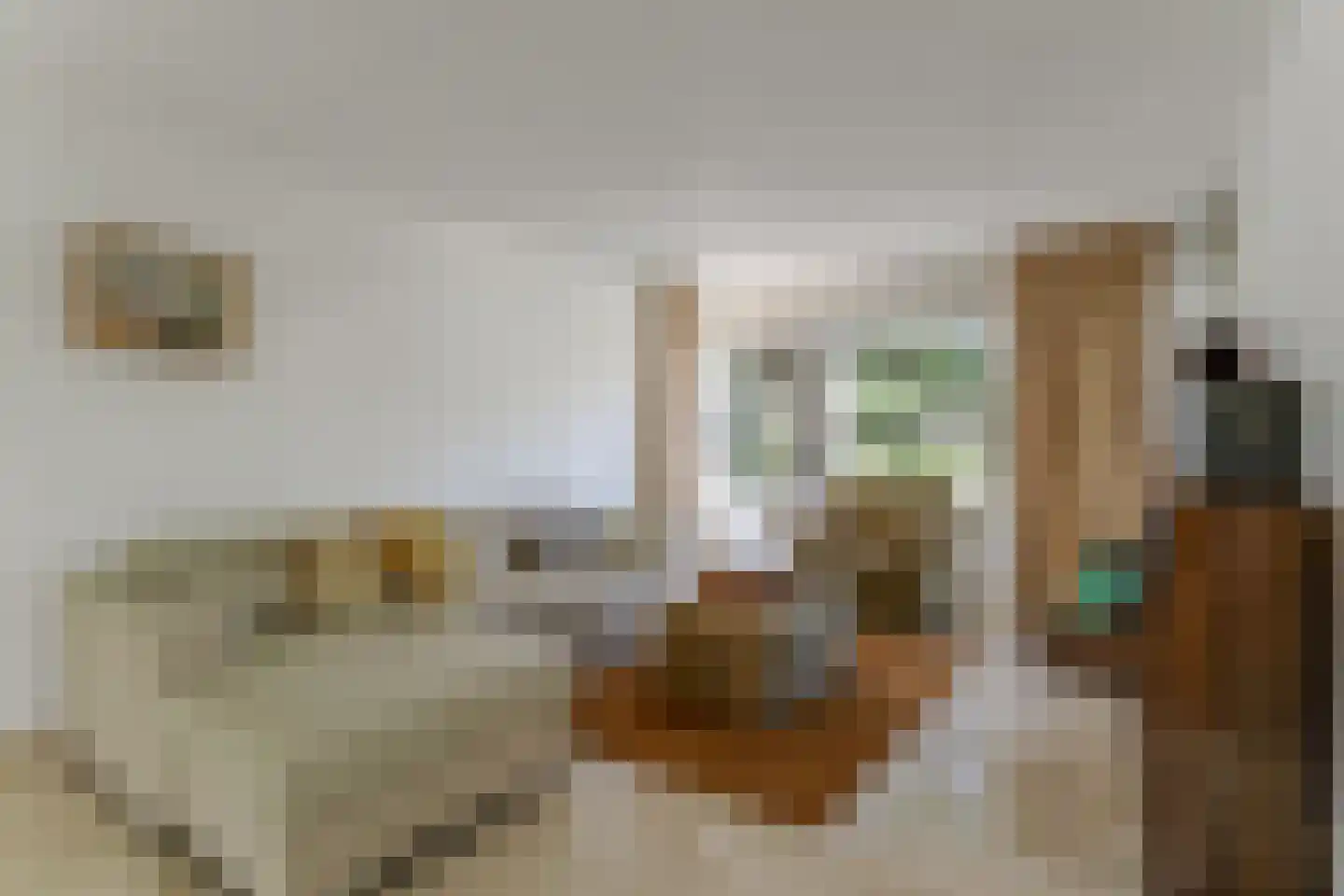 Cézannehof 69 Hoorn thumbnail 10