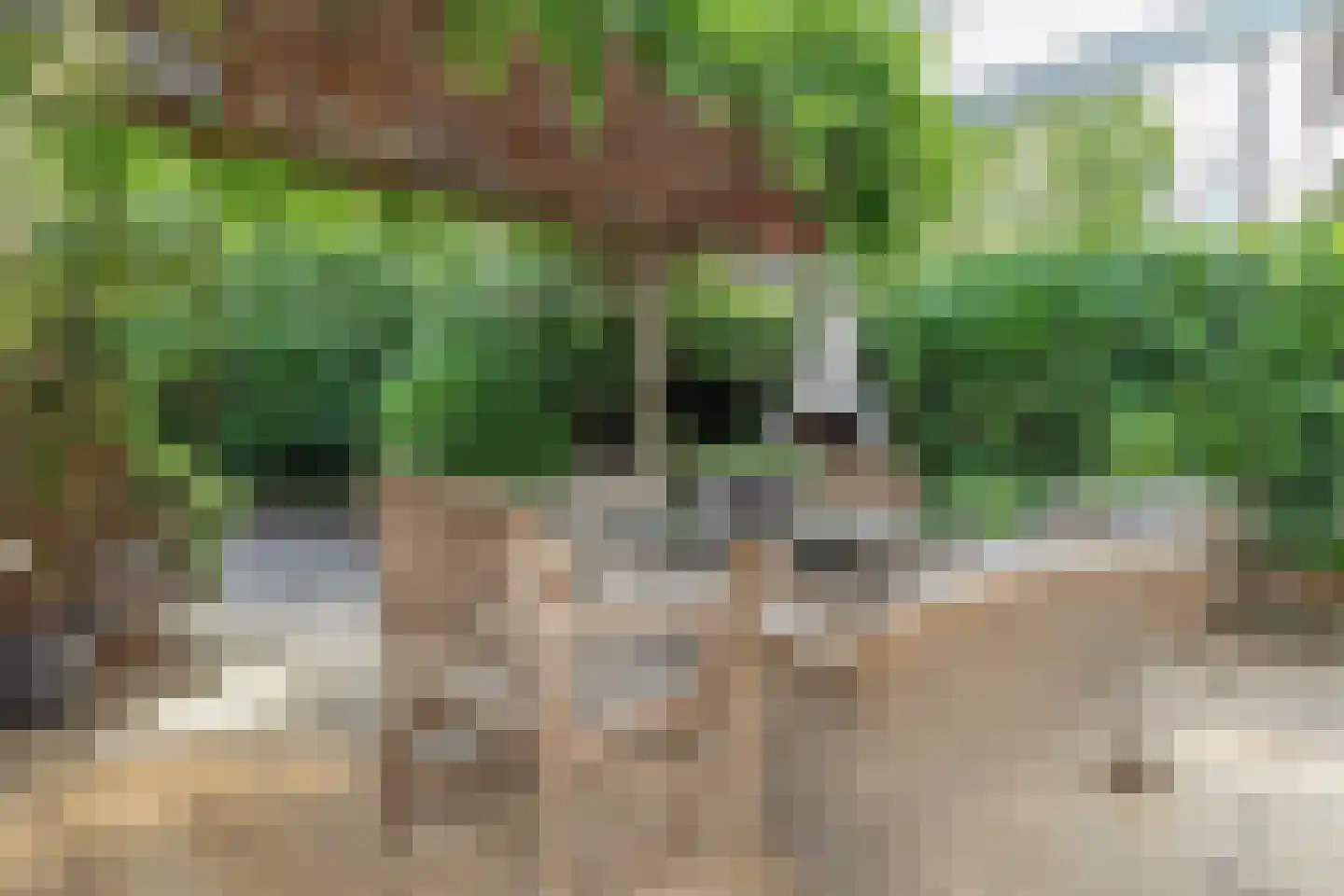 Cézannehof 69 Hoorn thumbnail 24