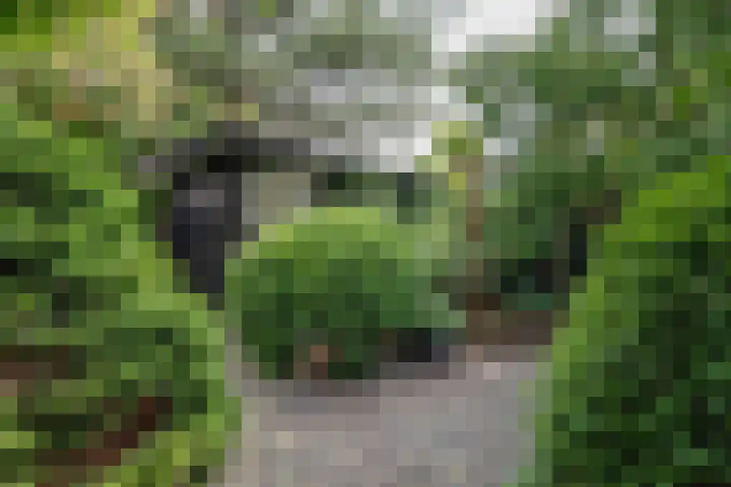 Cézannehof 69 Hoorn thumbnail 26