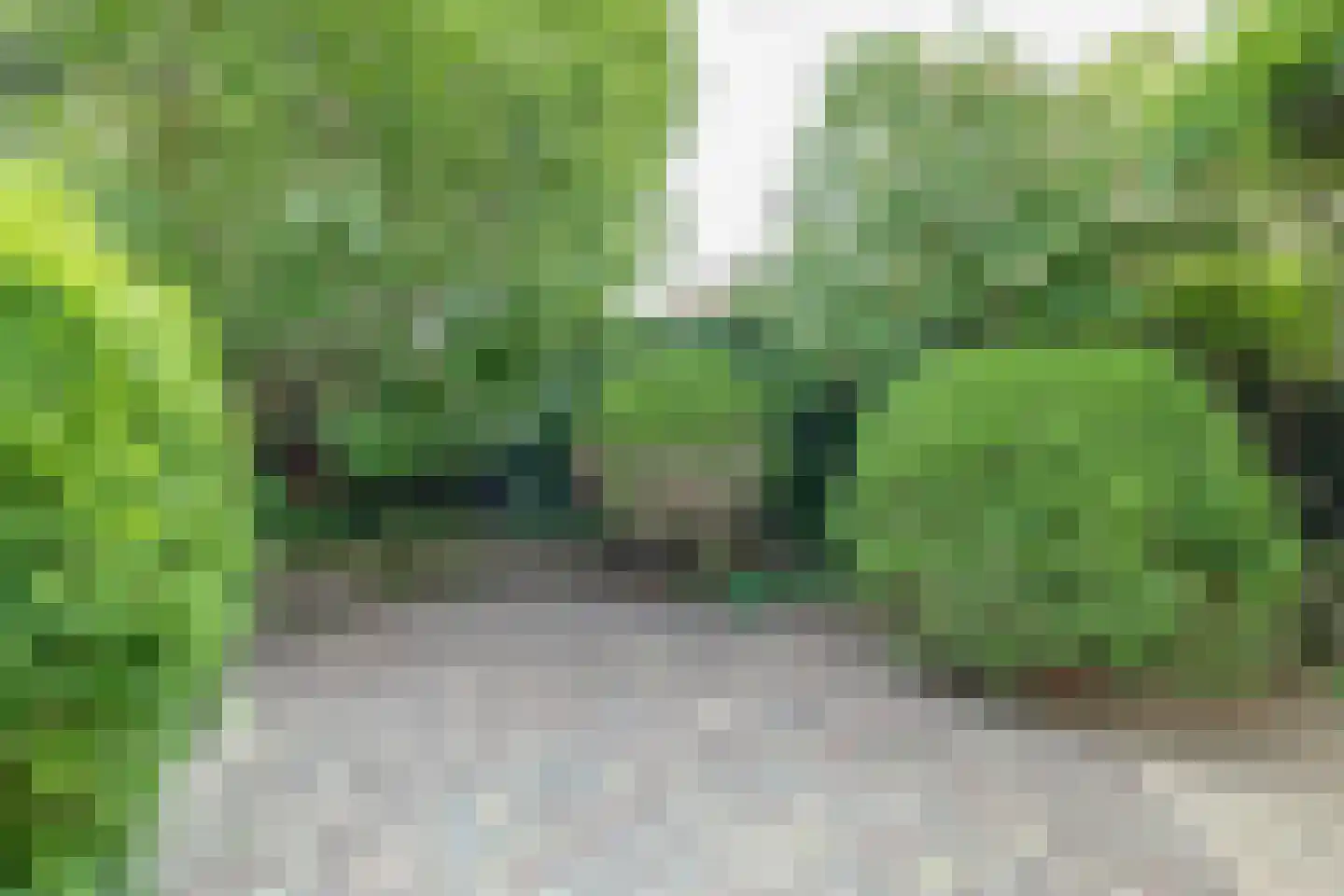 Cézannehof 69 Hoorn thumbnail 28