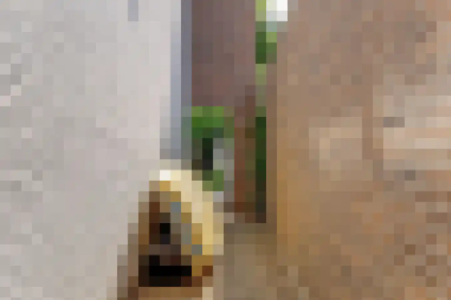 Cézannehof 69 Hoorn thumbnail 29