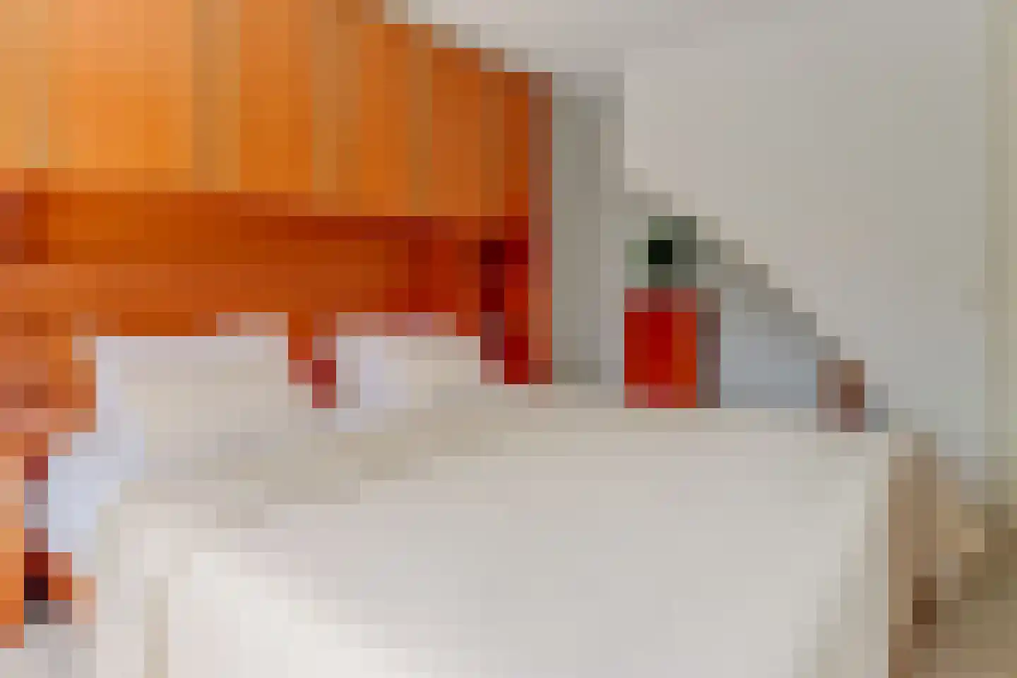 Cézannehof 69 Hoorn thumbnail 31