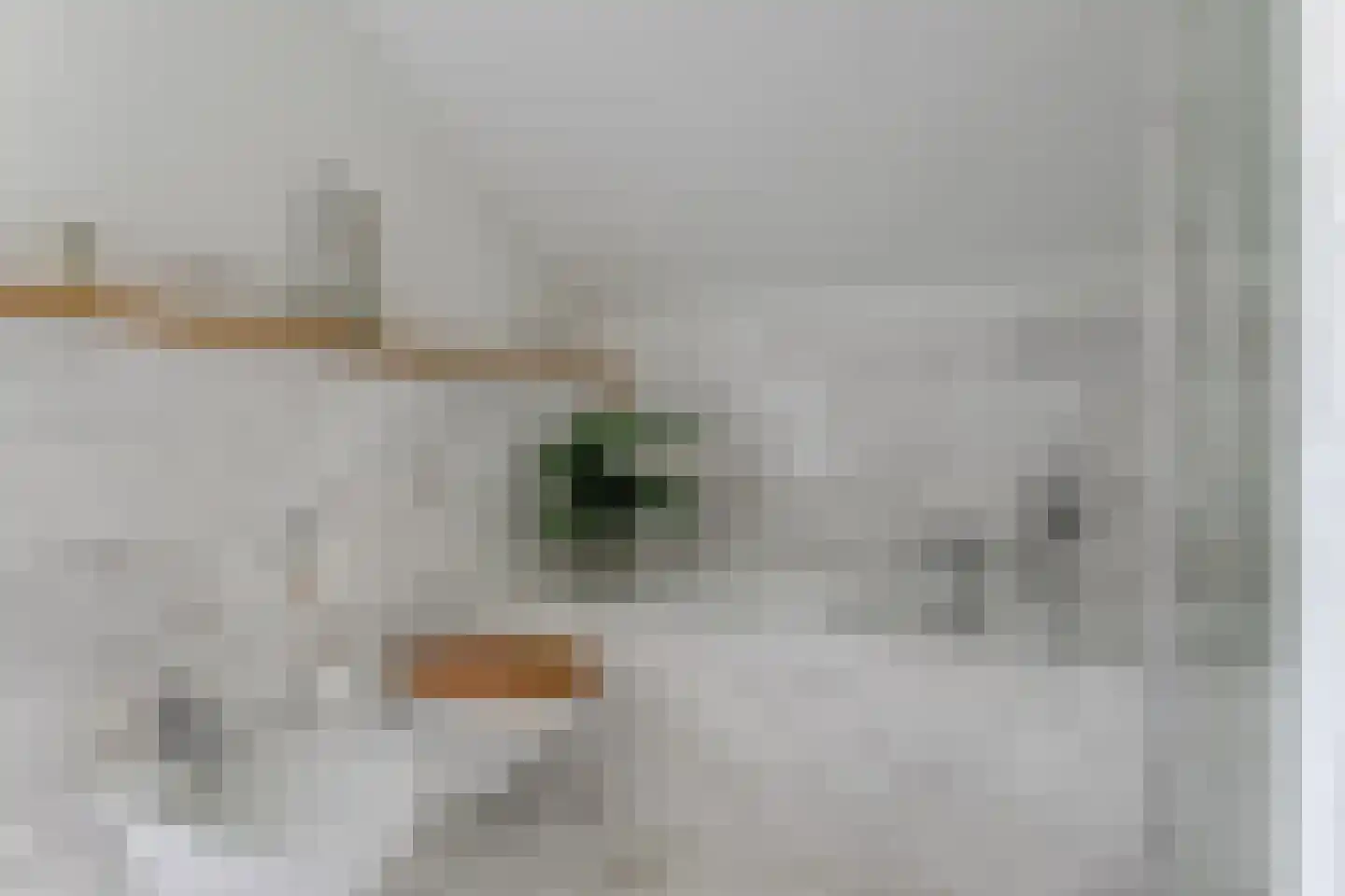Cézannehof 69 Hoorn thumbnail 41