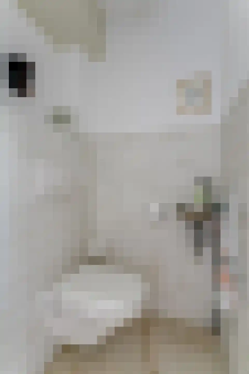 Cézannehof 69 Hoorn thumbnail 8