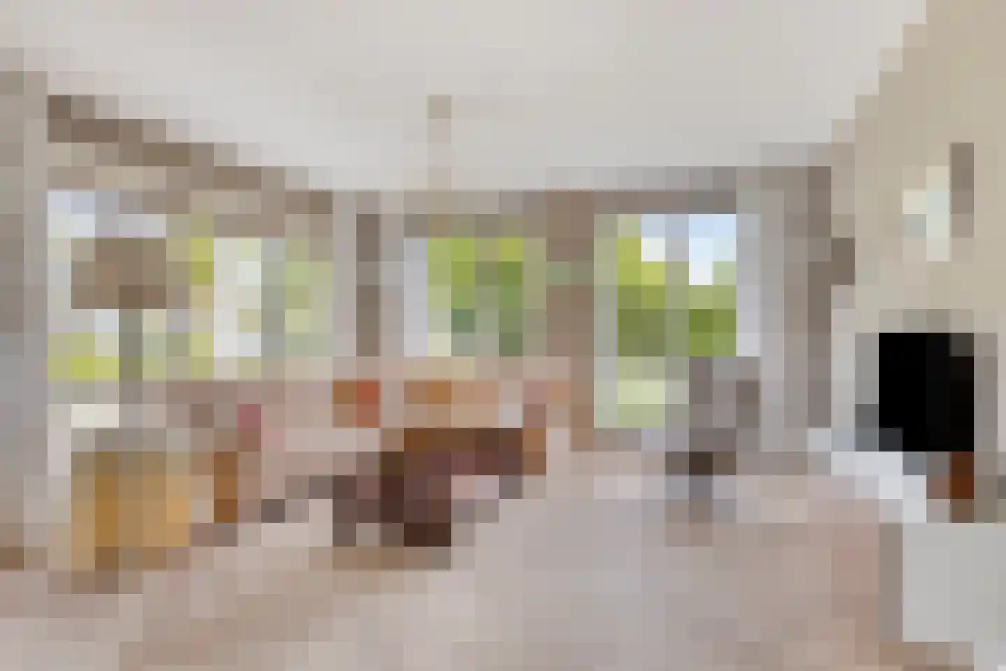 Ch de Bourbonweg 1 12 Goes thumbnail 18