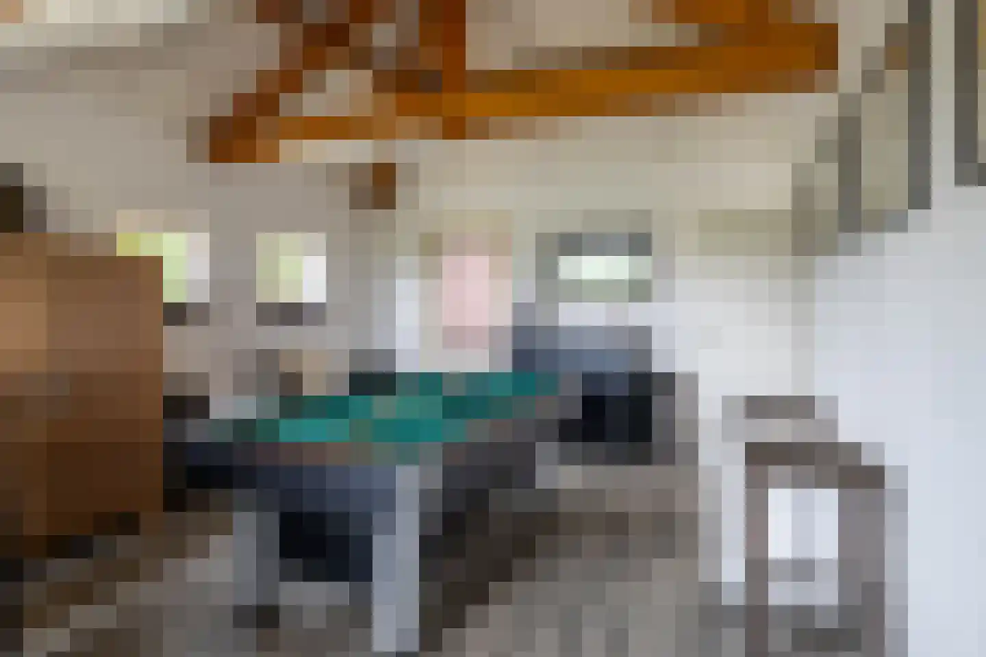 Chaamseweg 20 Alphen thumbnail 17