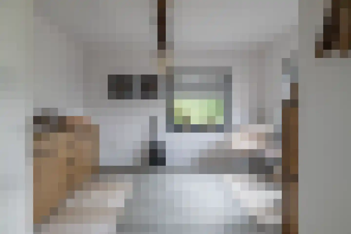 Chaamseweg 20 Alphen thumbnail 19
