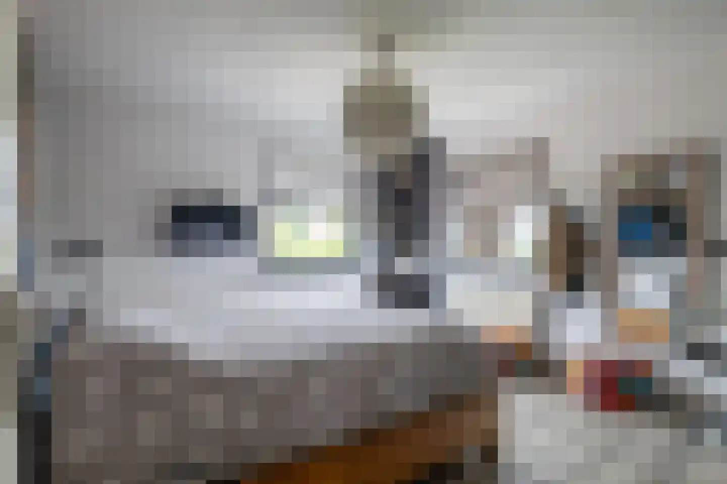 Chaamseweg 20 Alphen thumbnail 25