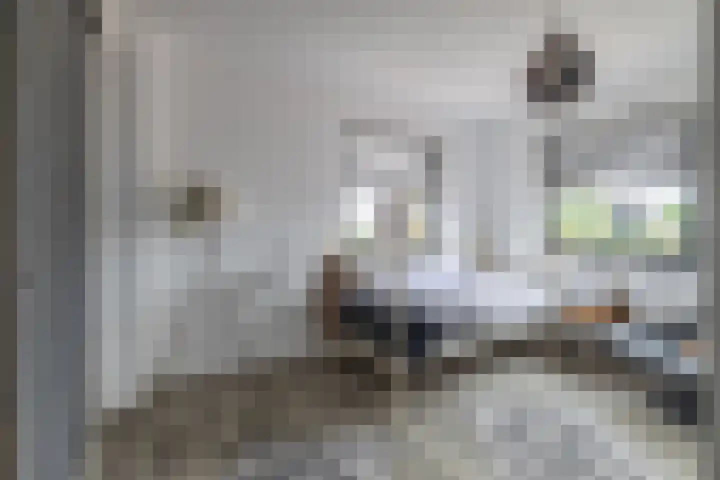 Chaamseweg 20 Alphen thumbnail 27