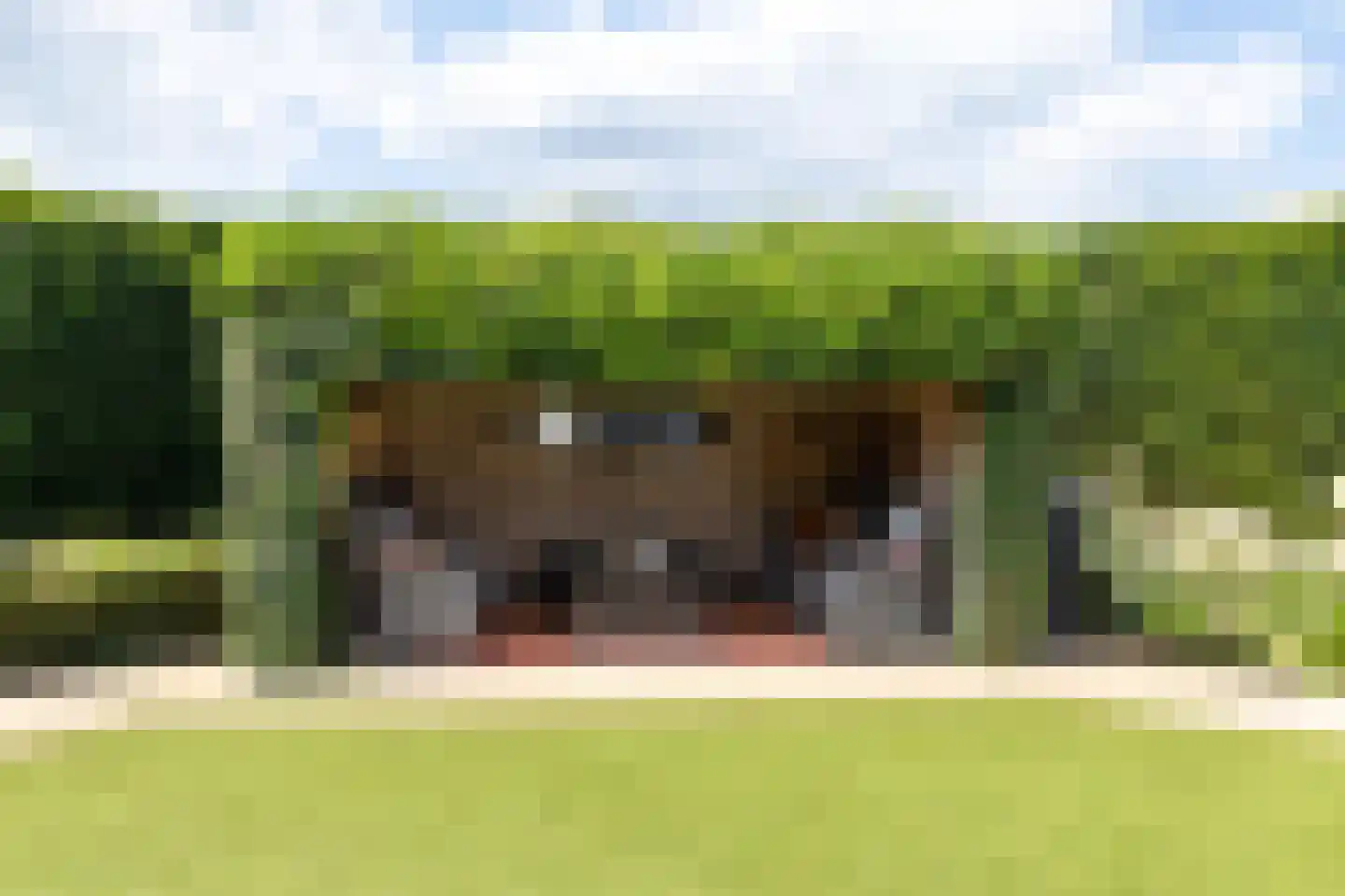 Chaamseweg 20 Alphen thumbnail 32