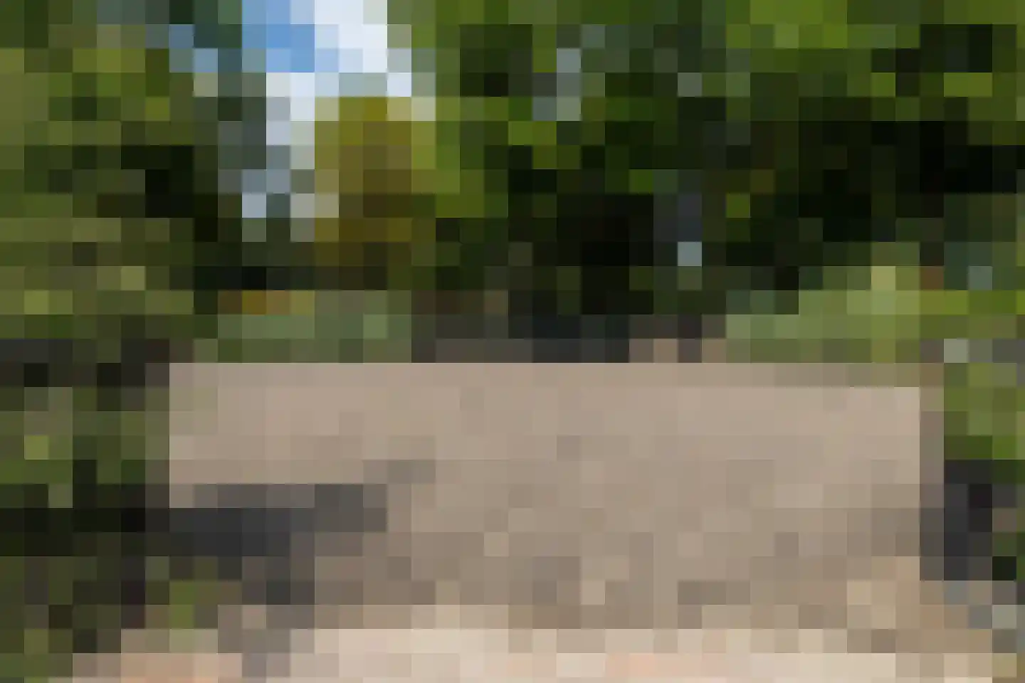 Chaamseweg 20 Alphen thumbnail 55