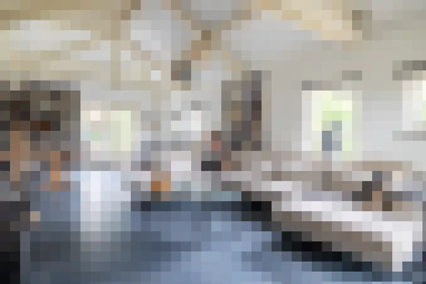 Chaamseweg 20 Alphen thumbnail 6