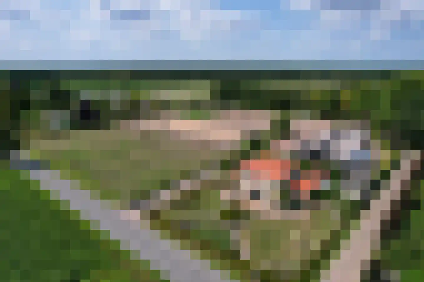 Chaamseweg 20 Alphen thumbnail 60