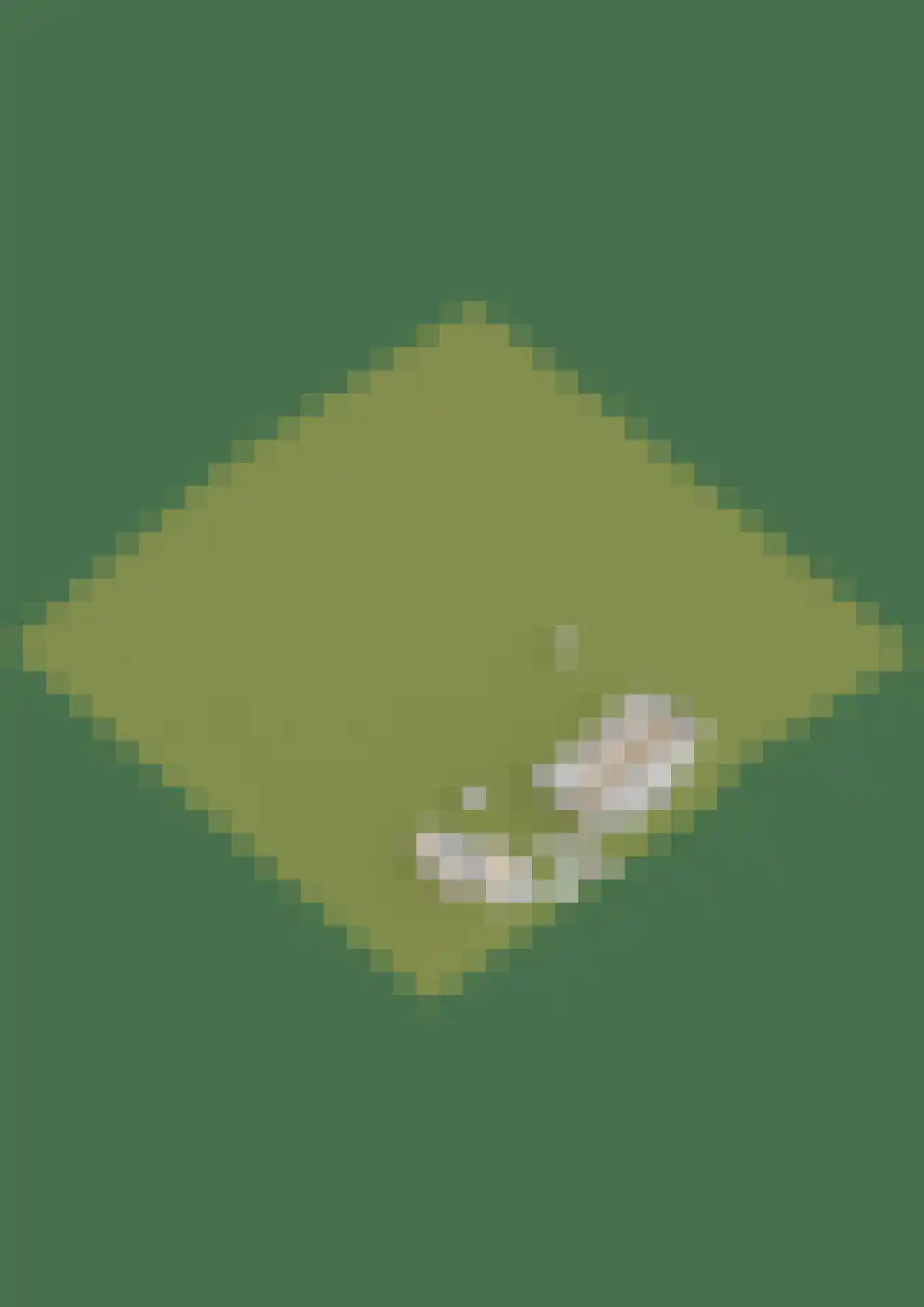 Chaamseweg 20 Alphen thumbnail 75
