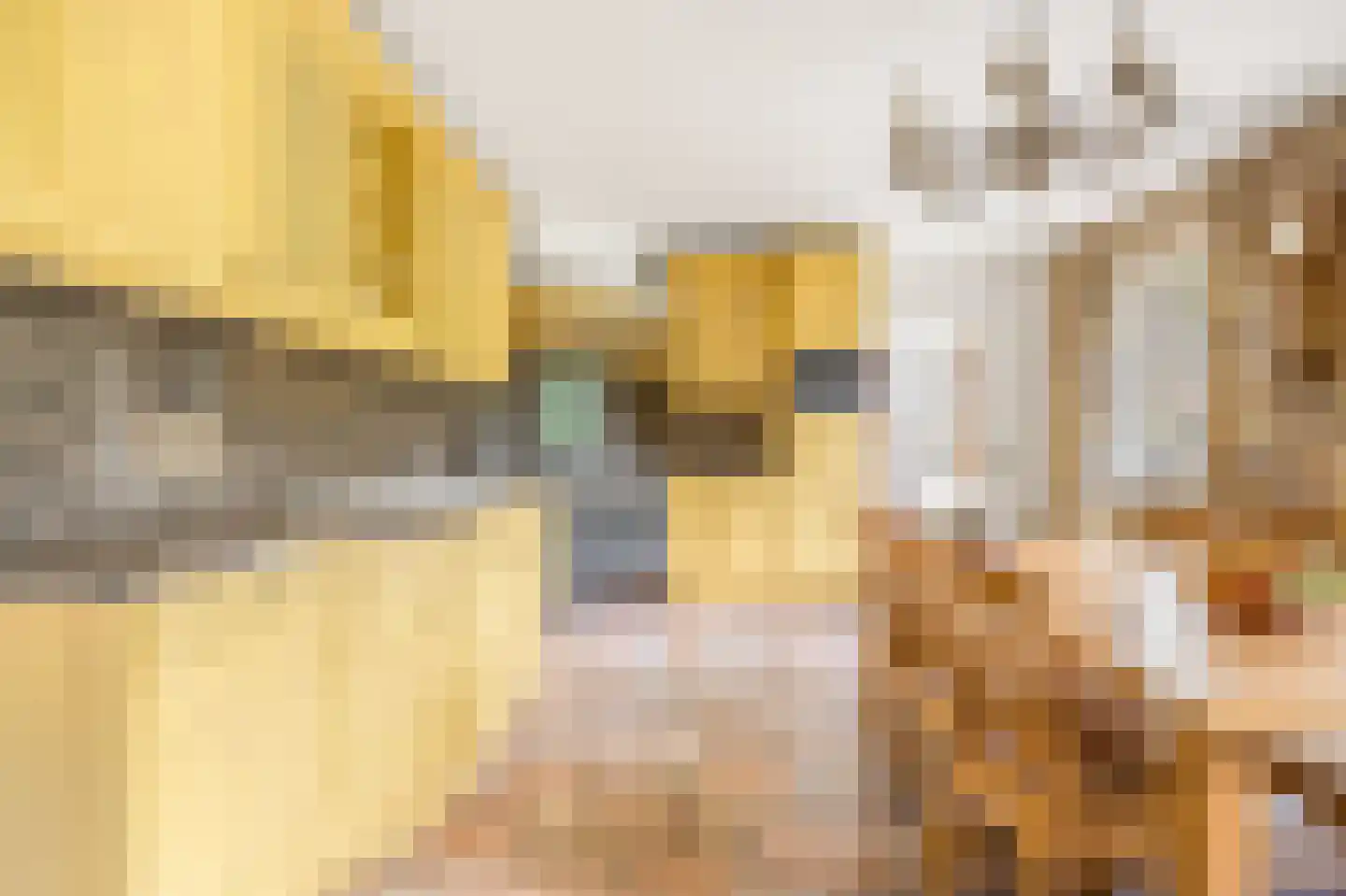 Chaamseweg 27 Ulvenhout AC thumbnail 18