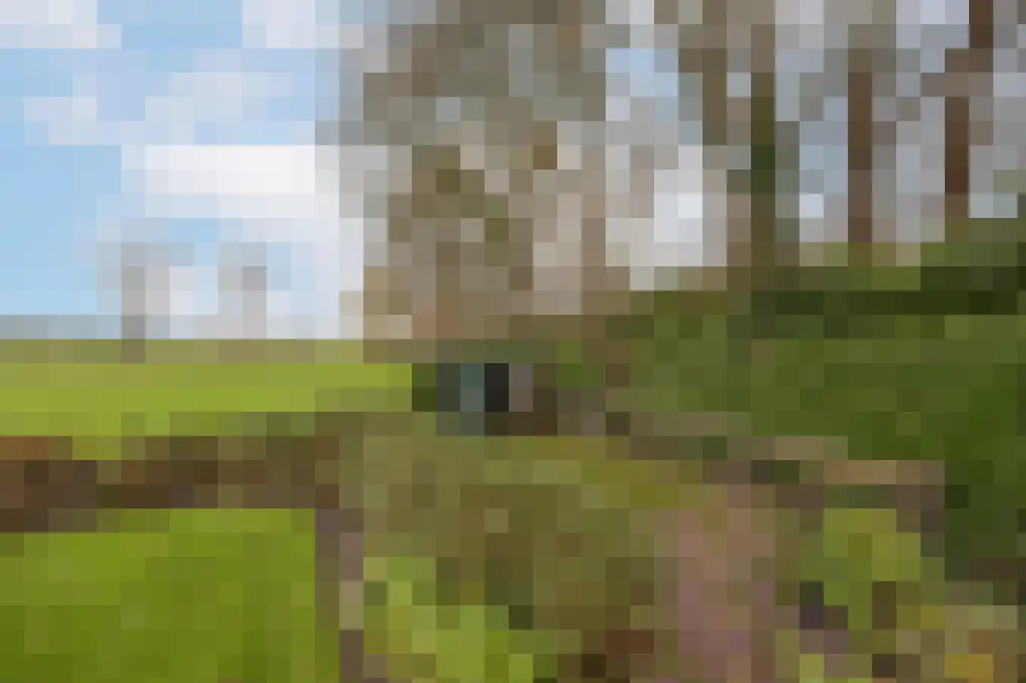 Chaamseweg 27 Ulvenhout AC thumbnail 43