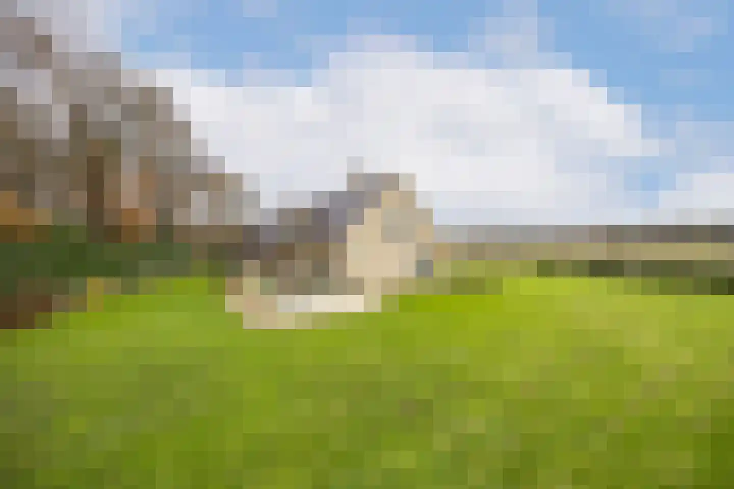 Chaamseweg 27 Ulvenhout AC thumbnail 45