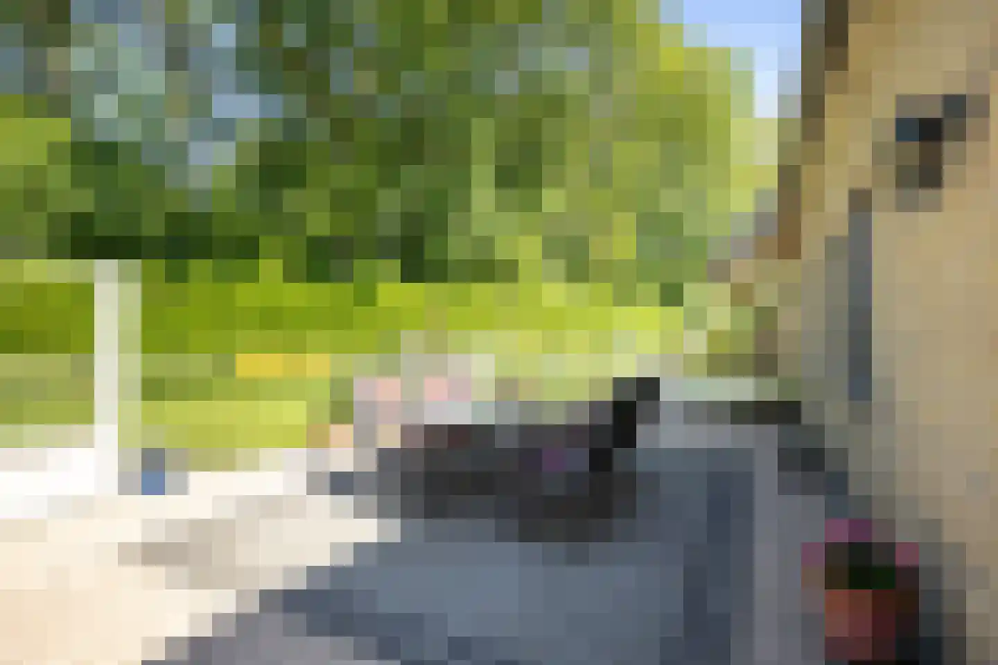 Chaamseweg 27 Ulvenhout AC thumbnail 45