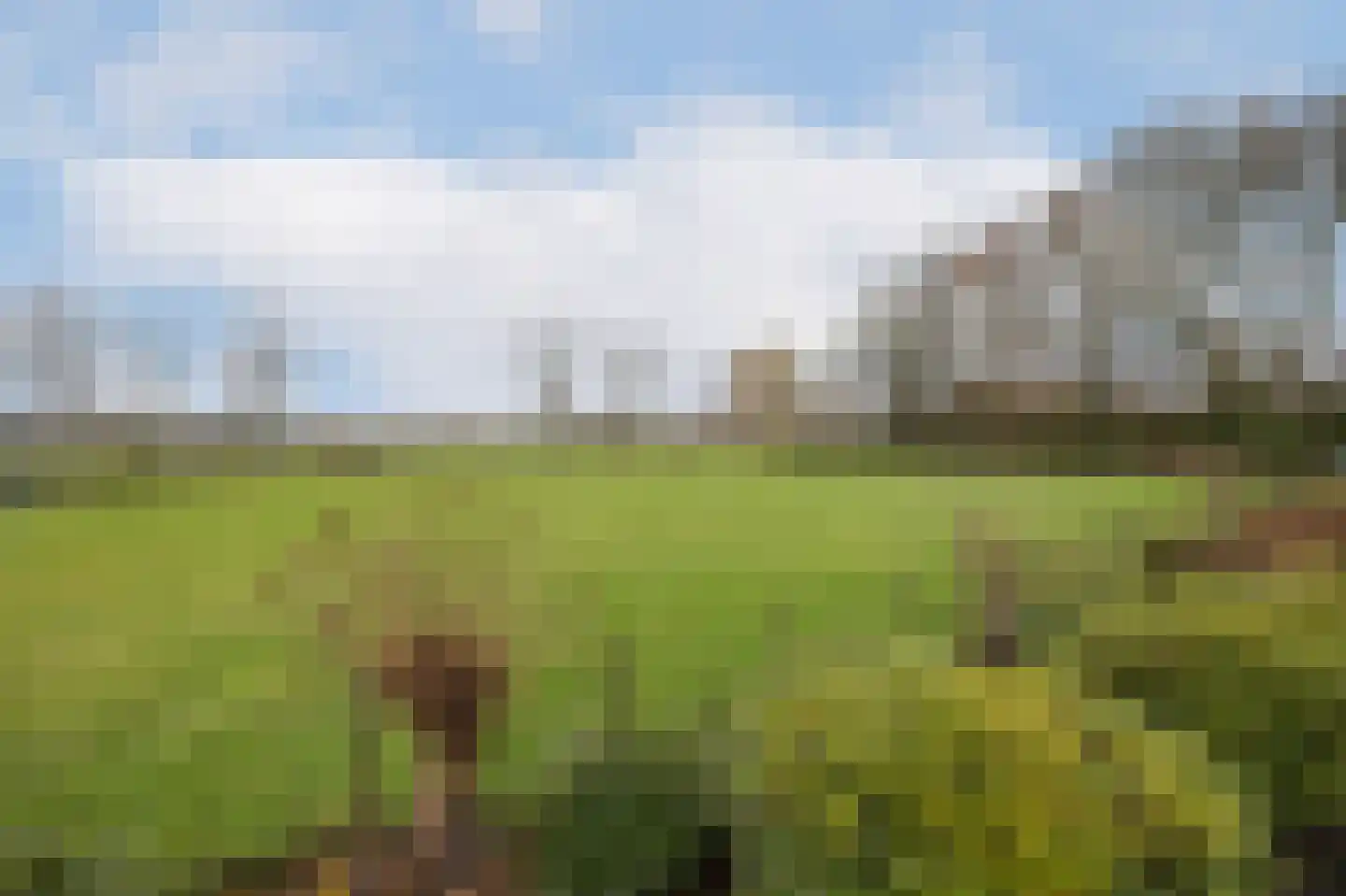 Chaamseweg 27 Ulvenhout AC thumbnail 47