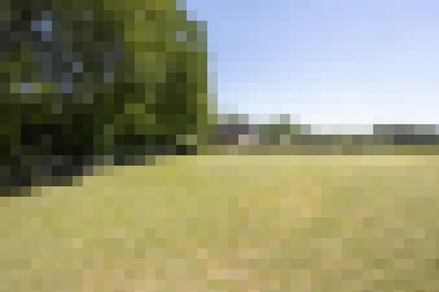 Chaamseweg 27 Ulvenhout AC thumbnail 51