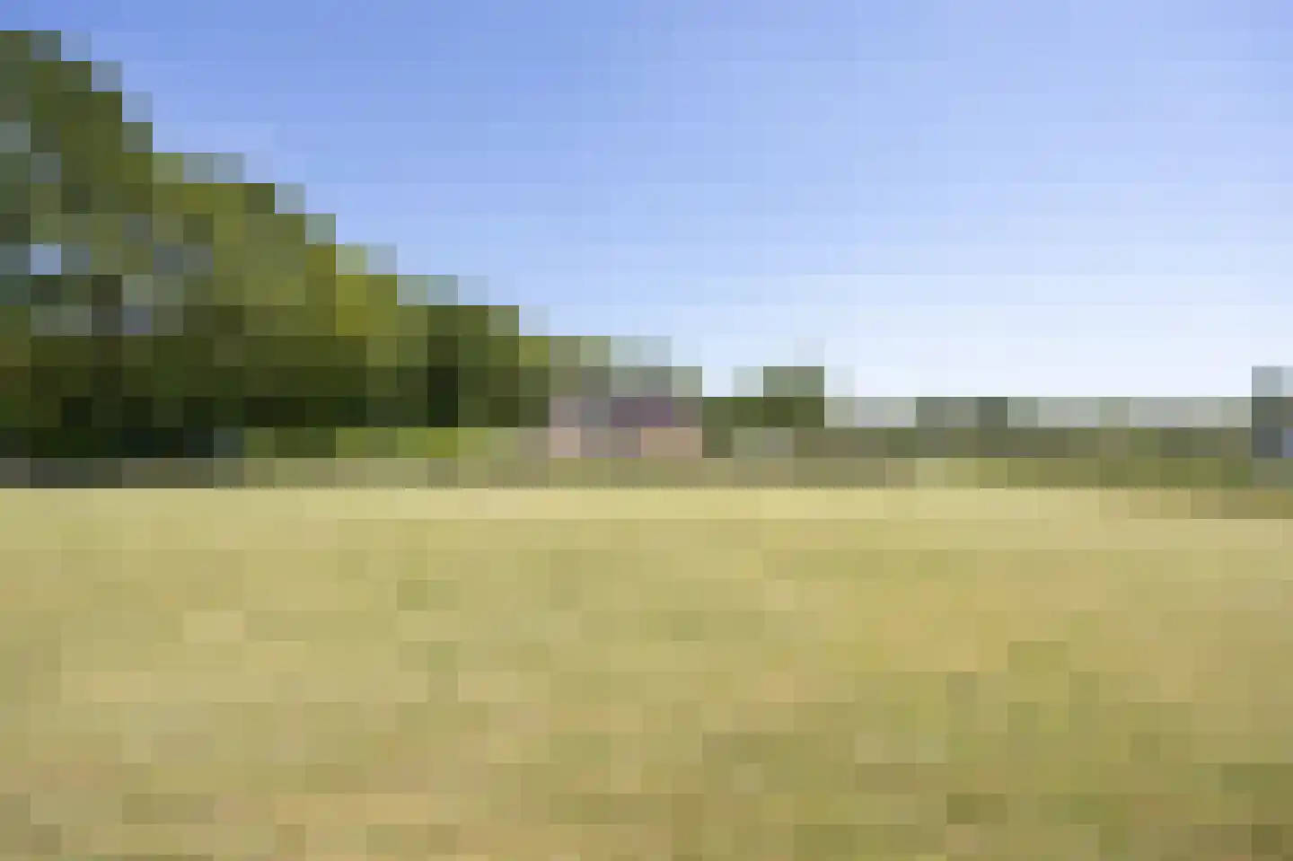 Chaamseweg 27 Ulvenhout AC thumbnail 52