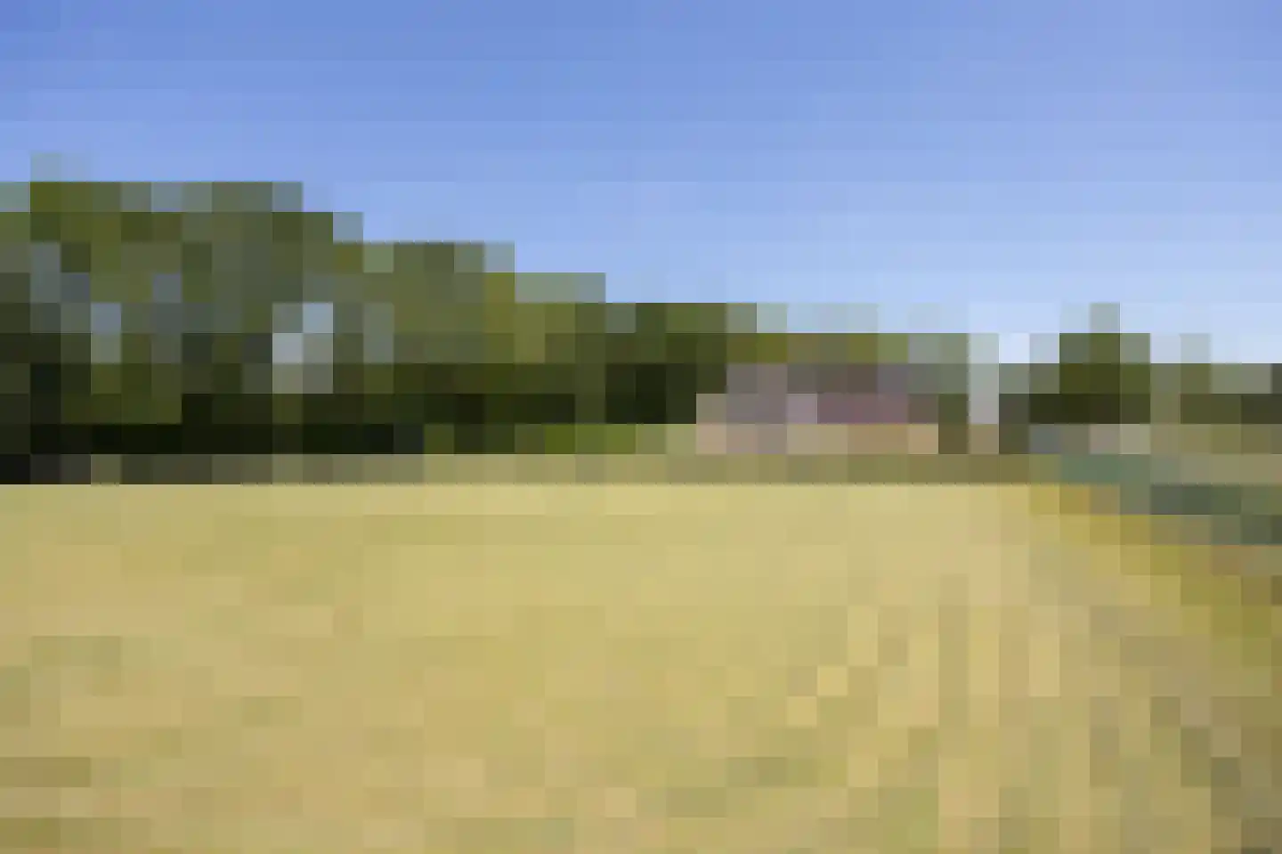 Chaamseweg 27 Ulvenhout AC thumbnail 53