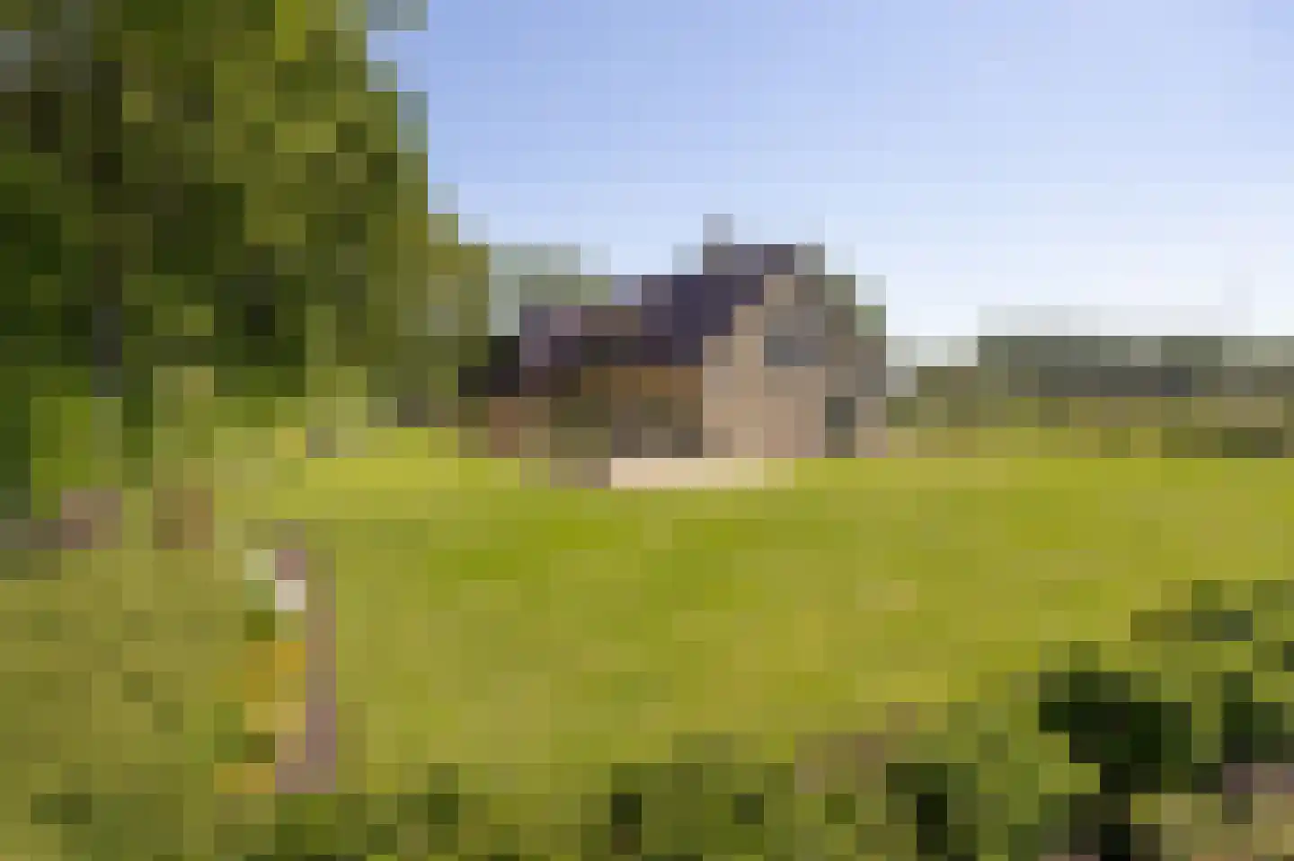 Chaamseweg 27 Ulvenhout AC thumbnail 57
