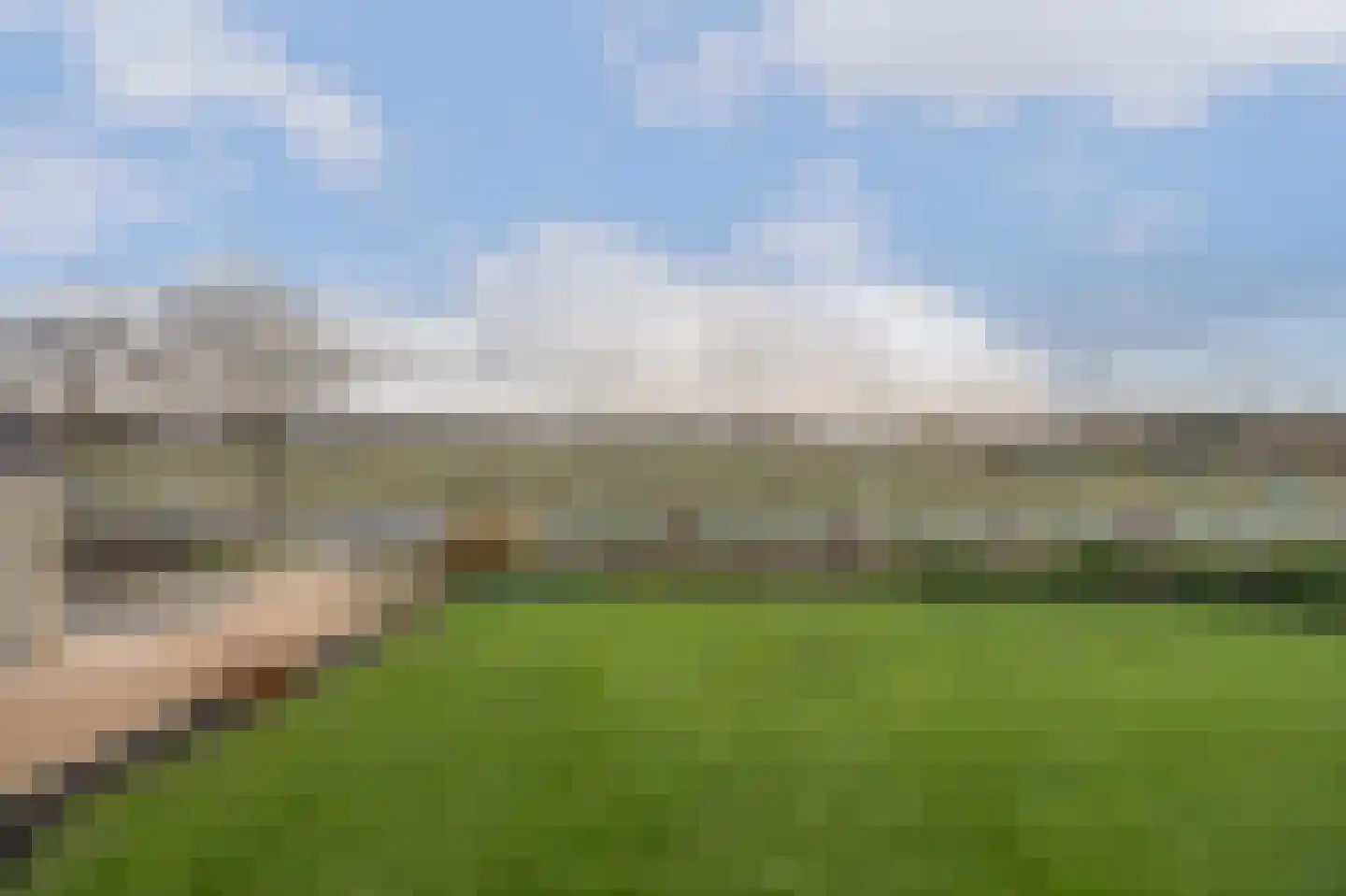 Chaamseweg 27 Ulvenhout AC thumbnail 61