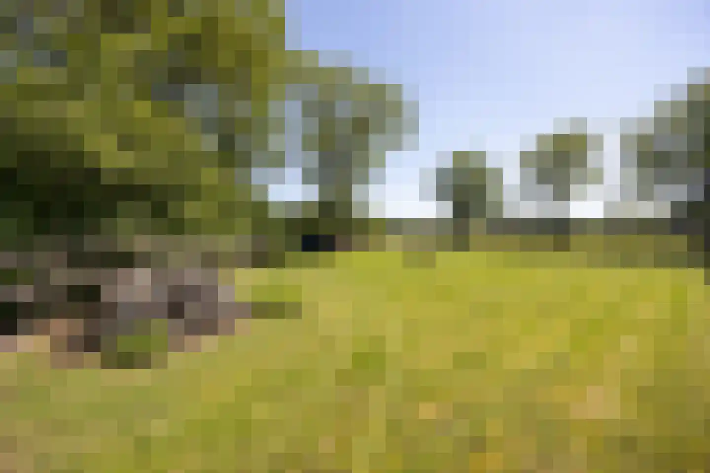 Chaamseweg 27 Ulvenhout AC thumbnail 68