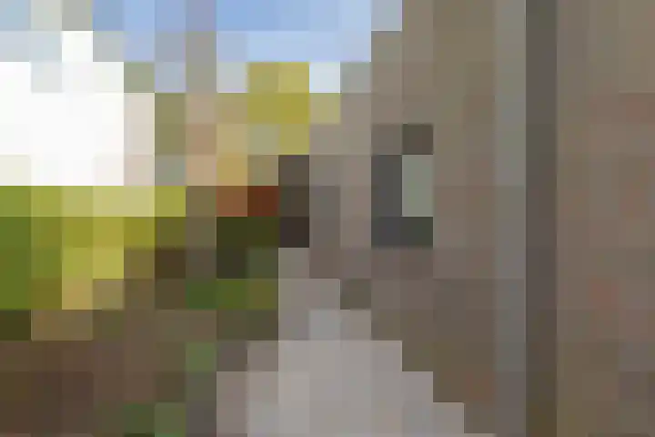 Chablislaan 4 Maastricht thumbnail 4