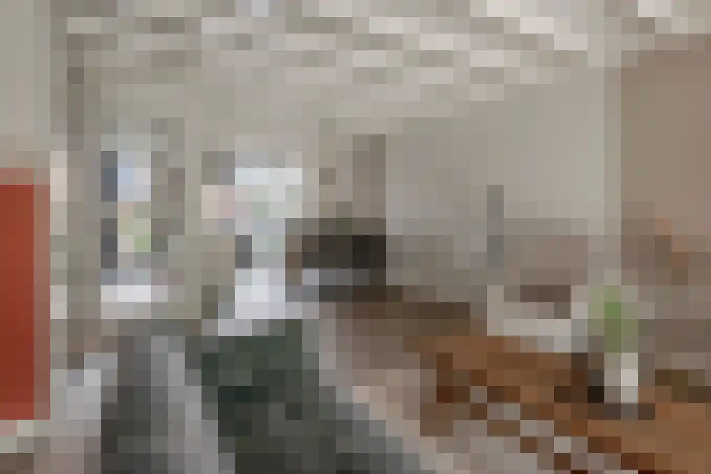 Chabolaan 23 Barneveld thumbnail 11
