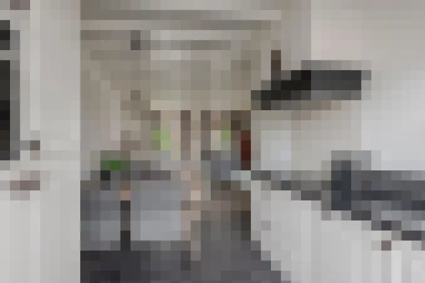 Chabolaan 23 Barneveld thumbnail 18